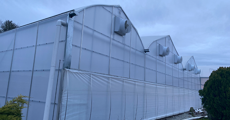 BW greenhouse exhaust fan