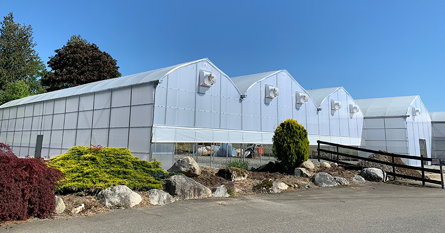 greenhouse outside view