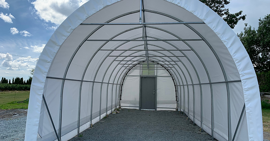 greenhouse interior view