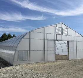 greenhouse ground cover view