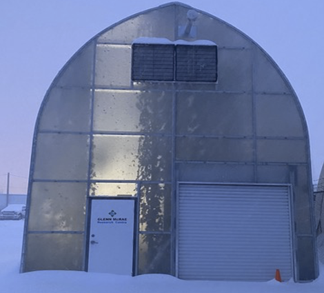 greenhouse in the snow